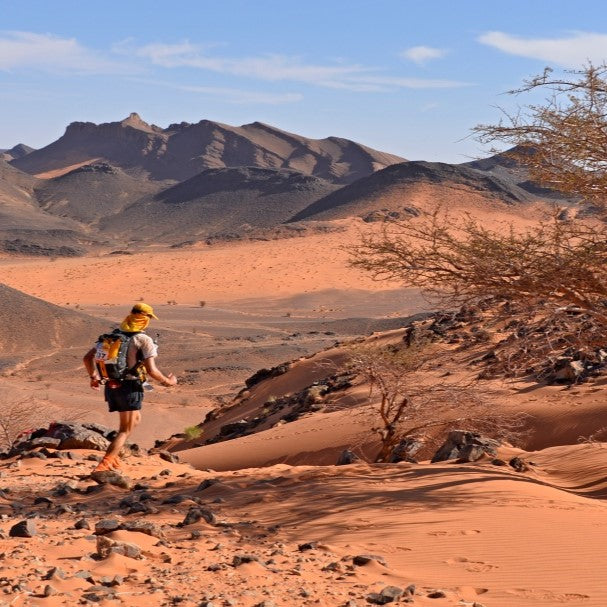 Athlete Feature: Dan Fallows - 2023 Marathon des Sables runner